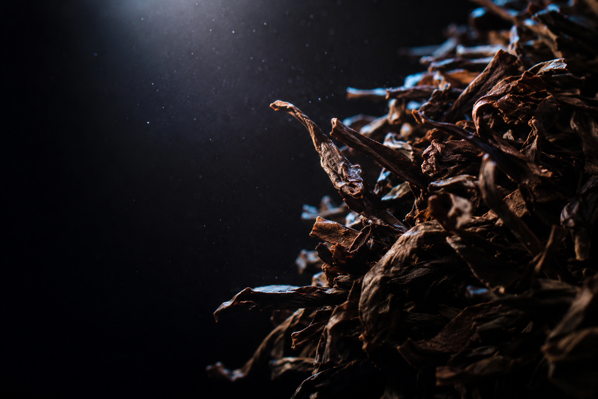 Roasted Japanese Hojicha
